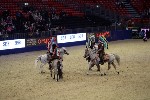 Quadrille - 00275
